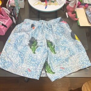 Colorful Graphic Swim Shorts